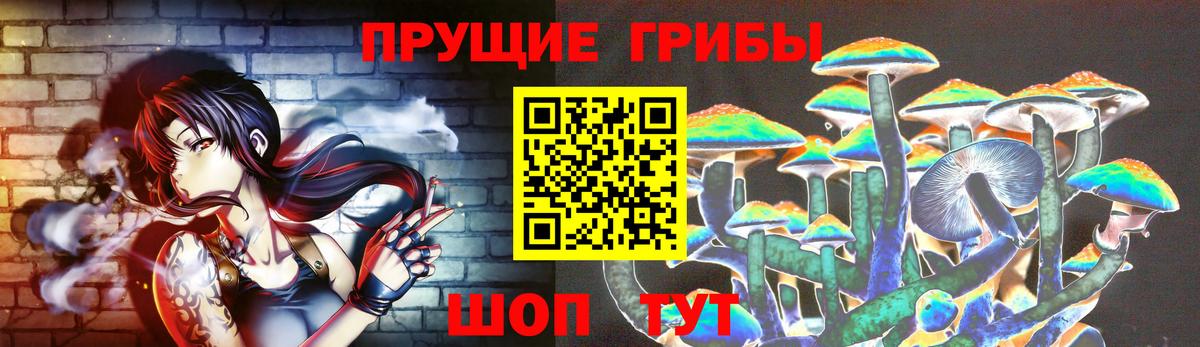 Елабуга  Псилоцибиновые грибы Psilocybine cubensis  Вход с VPN 